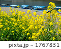1767831