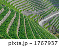 1767937