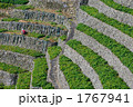 1767941