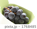 秋の味覚の巨峰の販売するイメージ