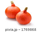 赤皮栗かぼちゃ