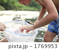 川で魚とりをする少年