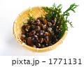 しじみ