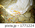 1771224