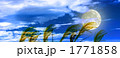 月とすすき　暗めの青い空　雲あり　横長画面　合成