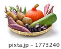 加賀野菜