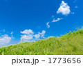土手からの青空