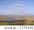 1774546