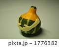 おもちゃかぼちゃ