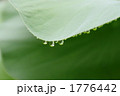 1776442