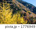 奥日光・金精峠付近の紅葉