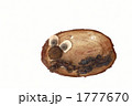 クラフト