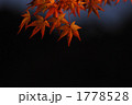 1778528