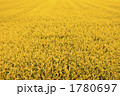 1780697