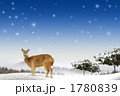 動物_k_366659 