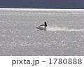 湖のジェットスキー