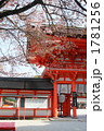 下鴨神社・桜の季節