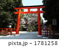 下鴨神社・桜の季節