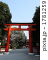 下鴨神社・桜の季節