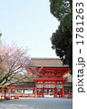 下鴨神社・桜の季節