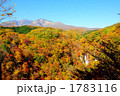 紅葉2