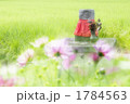 地蔵