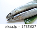 秋の味覚のさんま