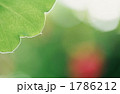 1786212