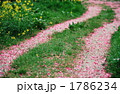 1786234
