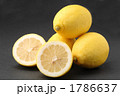 1786637