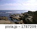 海 海