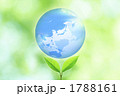 双葉と地球儀