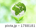 双葉と地球儀