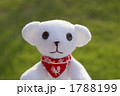 くまのぬいぐるみ
