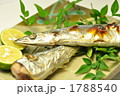 秋刀魚の塩焼き