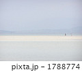 砂浜を歩く２人の少女の画像です