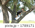 木登りをする男の子