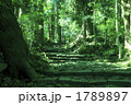 熊野古道