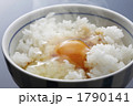 タマゴご飯
