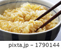 タマゴご飯