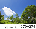 1790276
