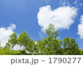 1790277