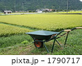 田舎