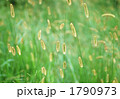 秋風にそよいで