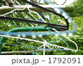 雨