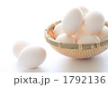 食材の玉子