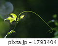 1793404