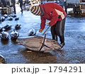 1794291