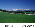 牧場の春