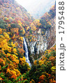 志賀高原の紅葉